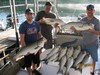 (08/31/2018) - Nice Striped Bass